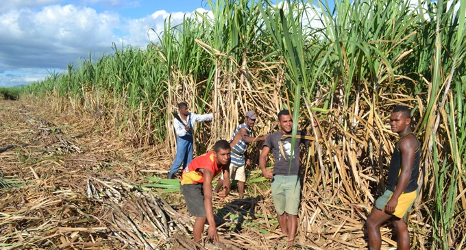 उखु किसान महासंघद्वारा अनुदान रकम तत्काल निकासा गर्न माग